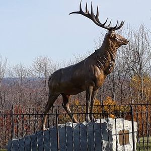 Meet your Posher, Rory